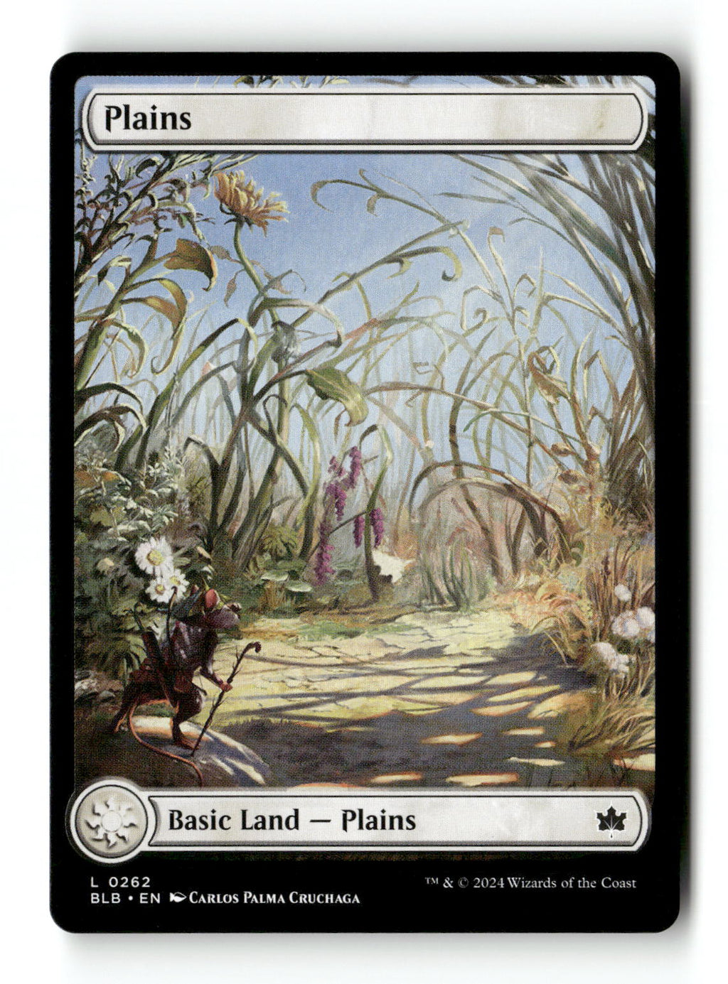 Plains (0262)