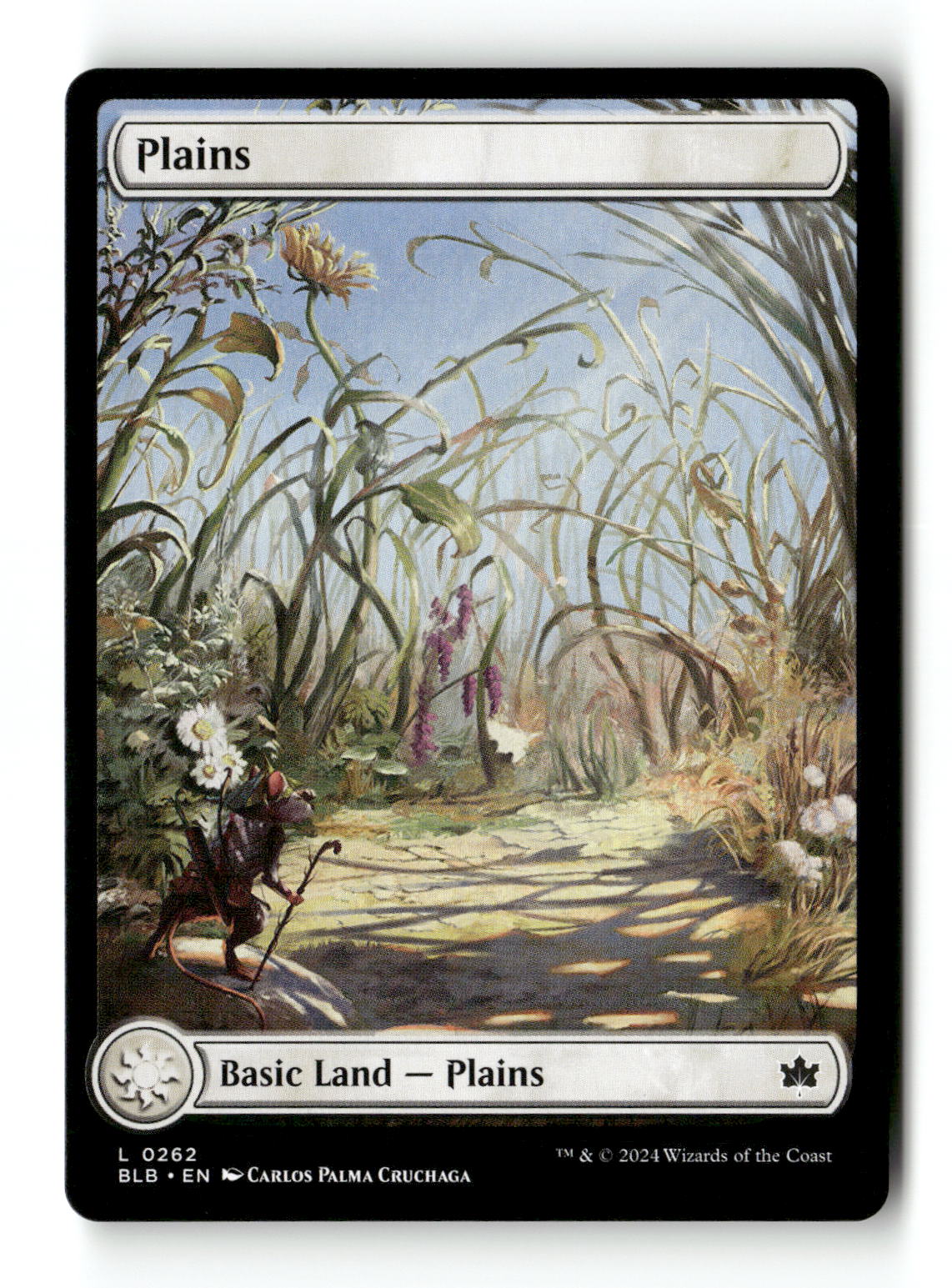 Plains (0262)