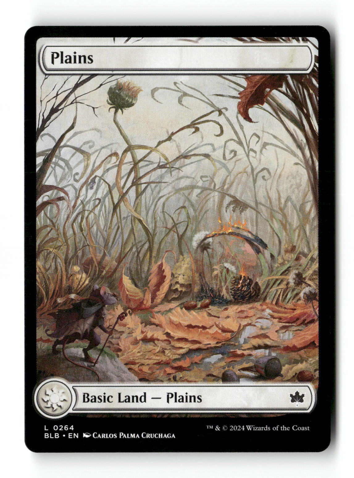 Plains (0264)
