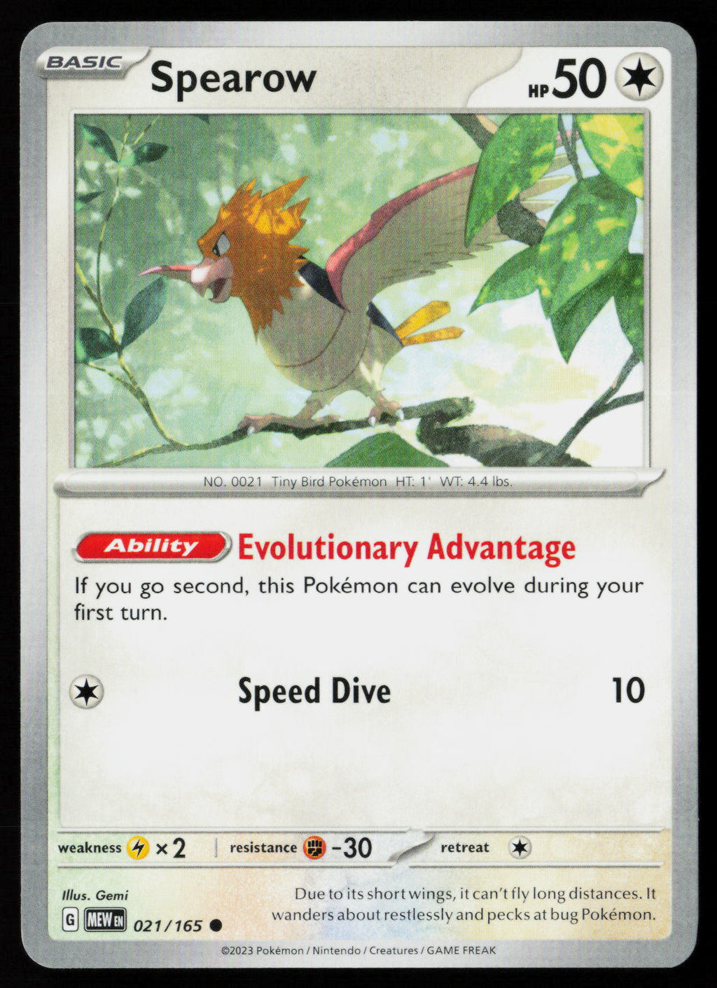 Spearow