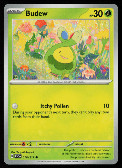 Budew - 016/217