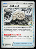 Antique Helix Fossil