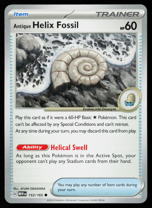 Antique Helix Fossil